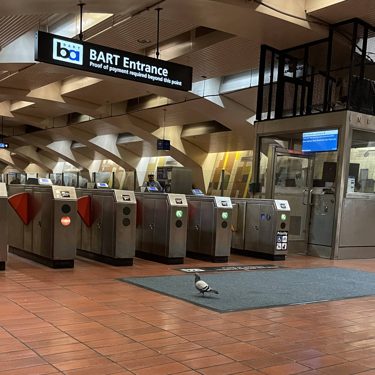A pigeons is walking in front of BART fare gates